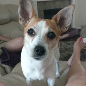 Meet your Posher, Erin